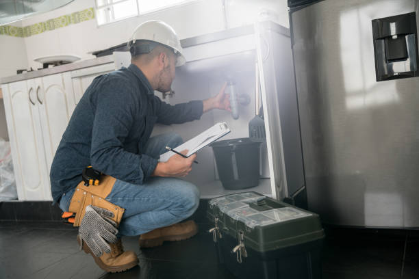 Best Plumbing Repair Near Me  in Franklin Grove, IL