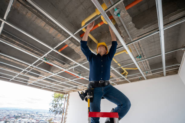 Best Local Plumber Services  in Franklin Grove, IL