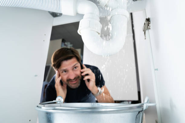 Best Clogged Drain Plumber  in Franklin Grove, IL